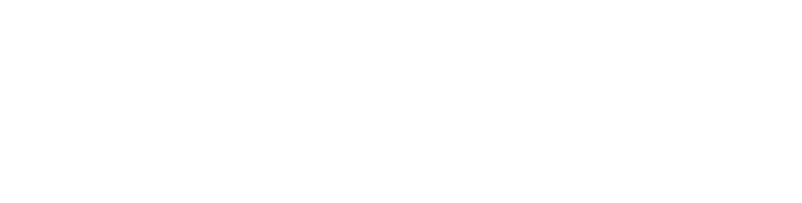 004-Bachoco